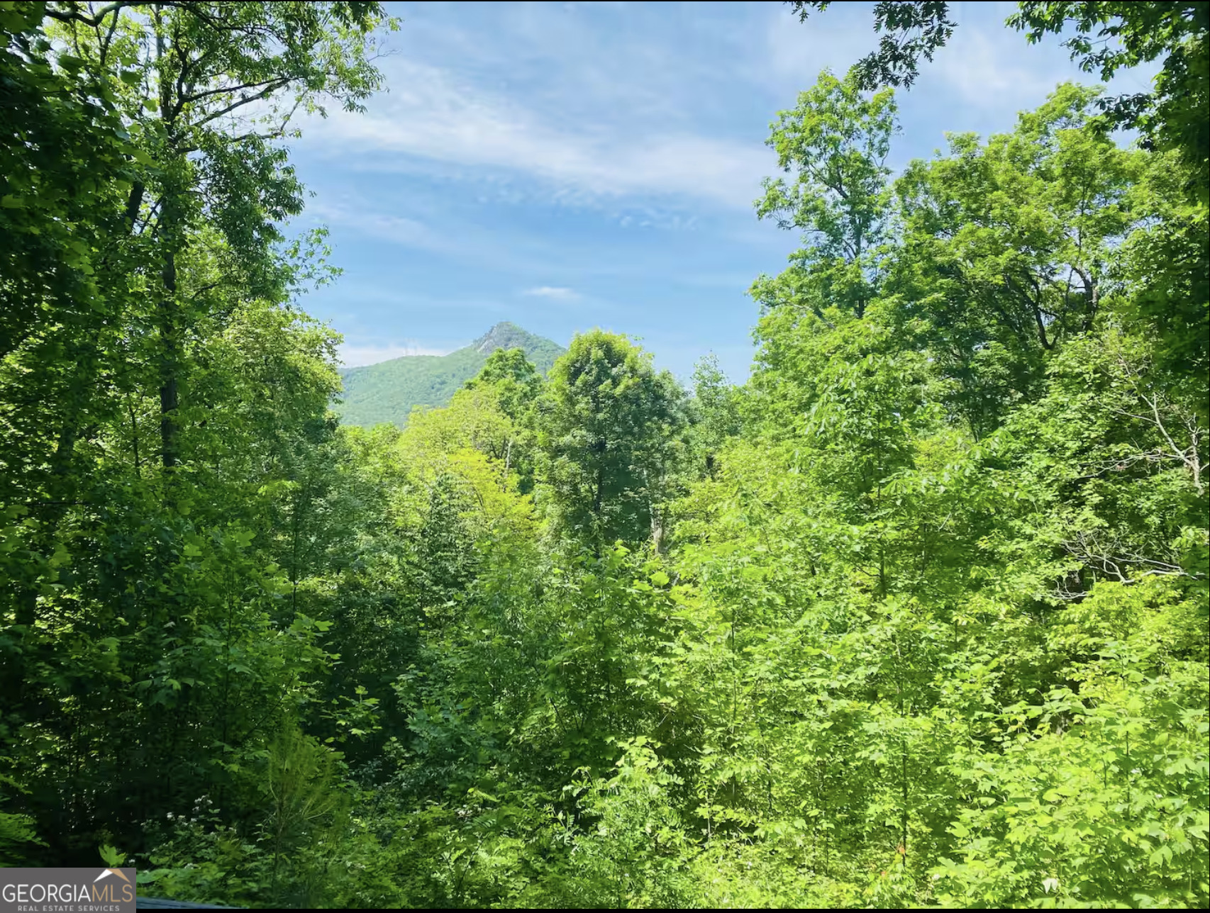 2531 Hunter Road Hiawassee, GA 30546 - Photo 37 of 41 Gallery Image 37
