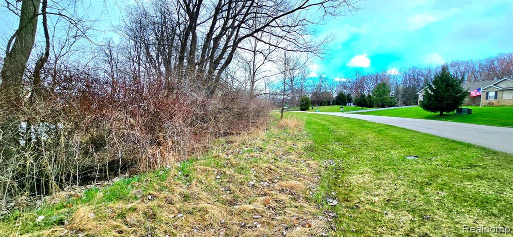 9910 Iosco Ridge Drive Gregory, MI 48137 - Photo 5 of 10