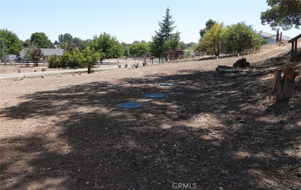 7950 Blue Moon Road Paso Robles, CA 93446 - Photo 15 of 26 Brand new septic system!
