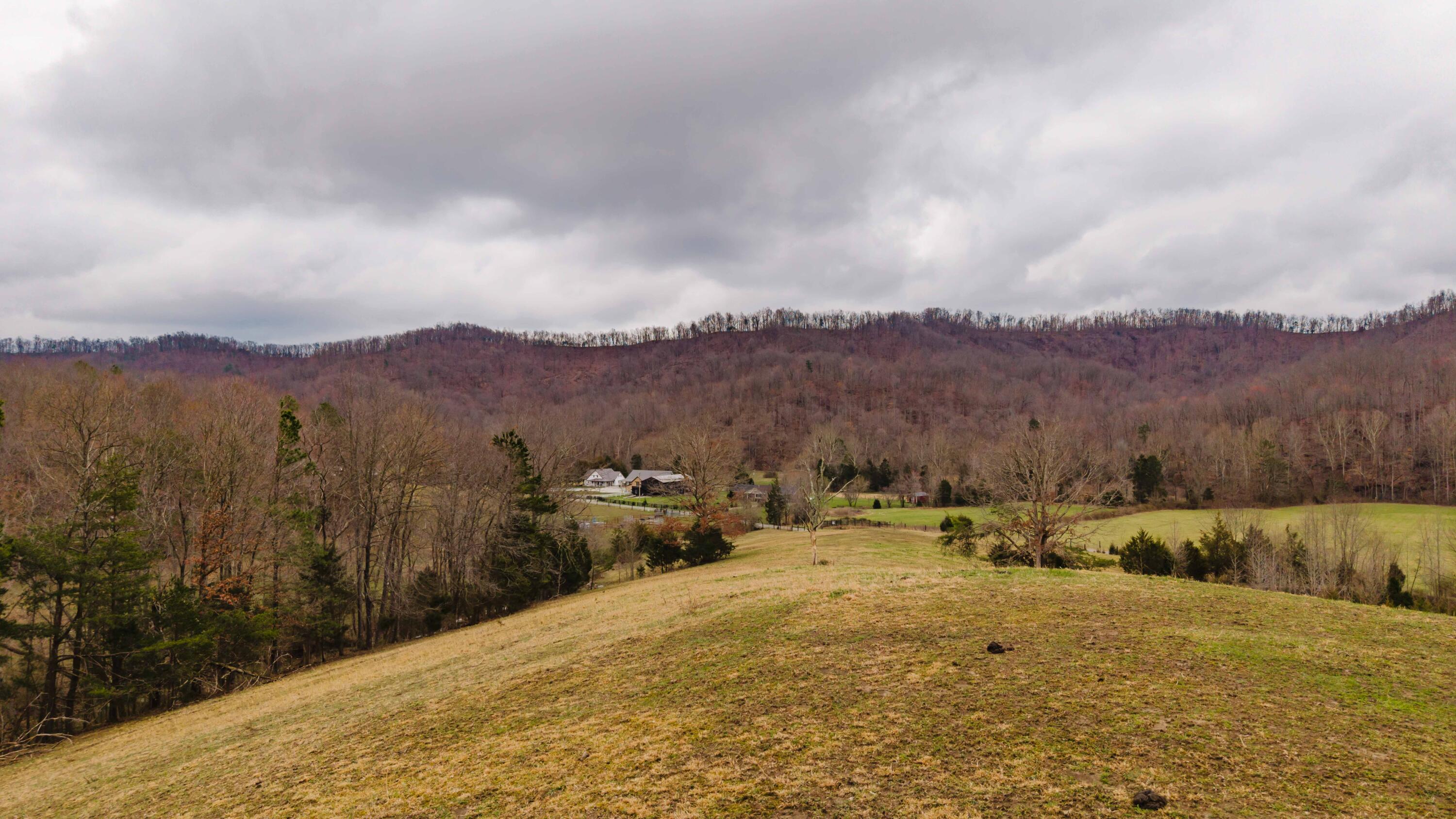 2630 Pine Grove Road Olympia, KY 40358 - Photo 2 of 8 2630 Pine Grove Road-71