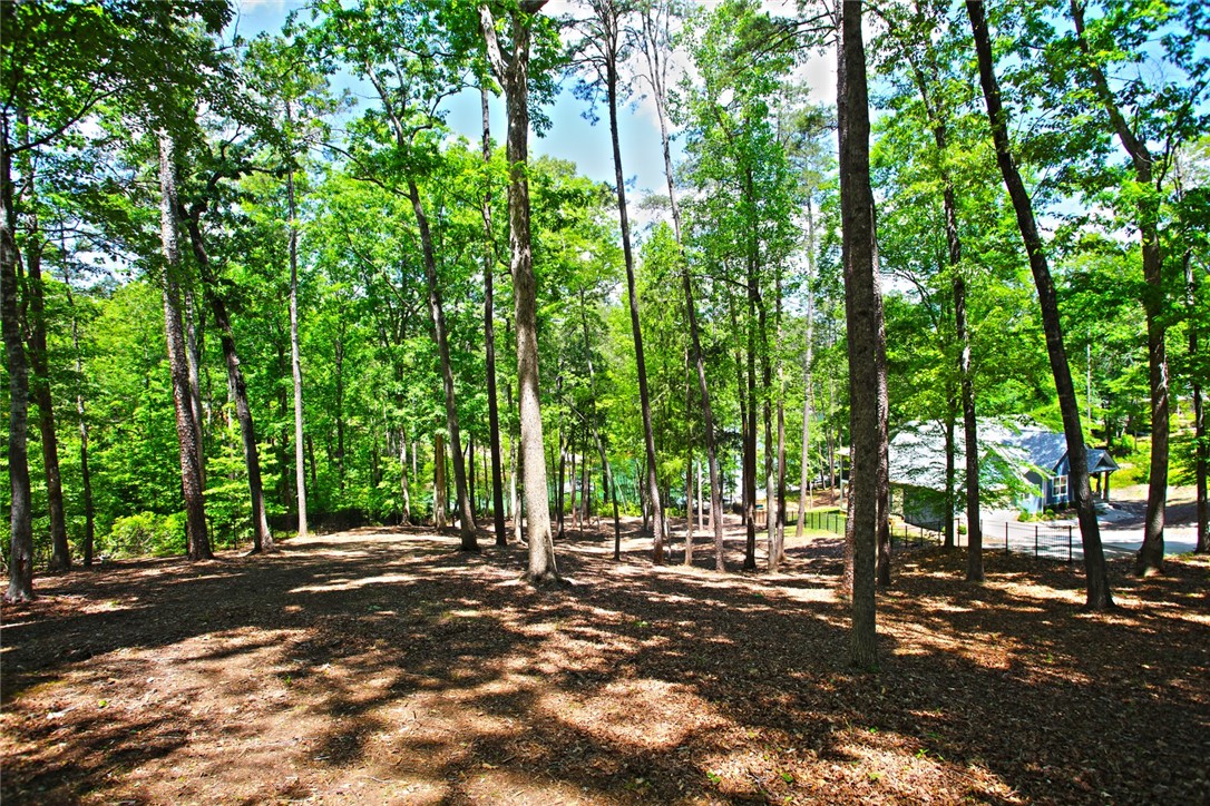 Lot 114 Harbor Point Seneca, SC 29672 - Photo 41 of 46 This tranquil wooded lot offers serene natural surroundings and ample space for your dream home.