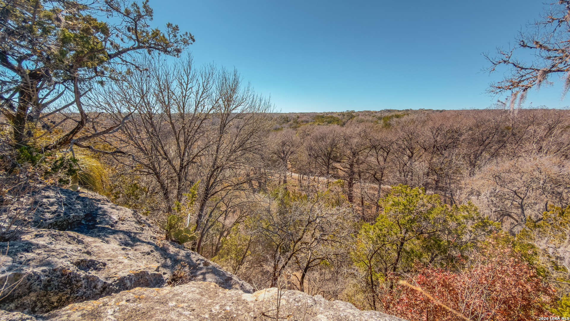 1076 Blue Bonnet Hl Drive Spring Branch, TX 78070 - Photo 12 of 44 a view of a dry yard with trees in the background