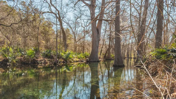 $55,000 | 1076 Blue Bonnet Hl Drive, Spring Branch, TX 78070