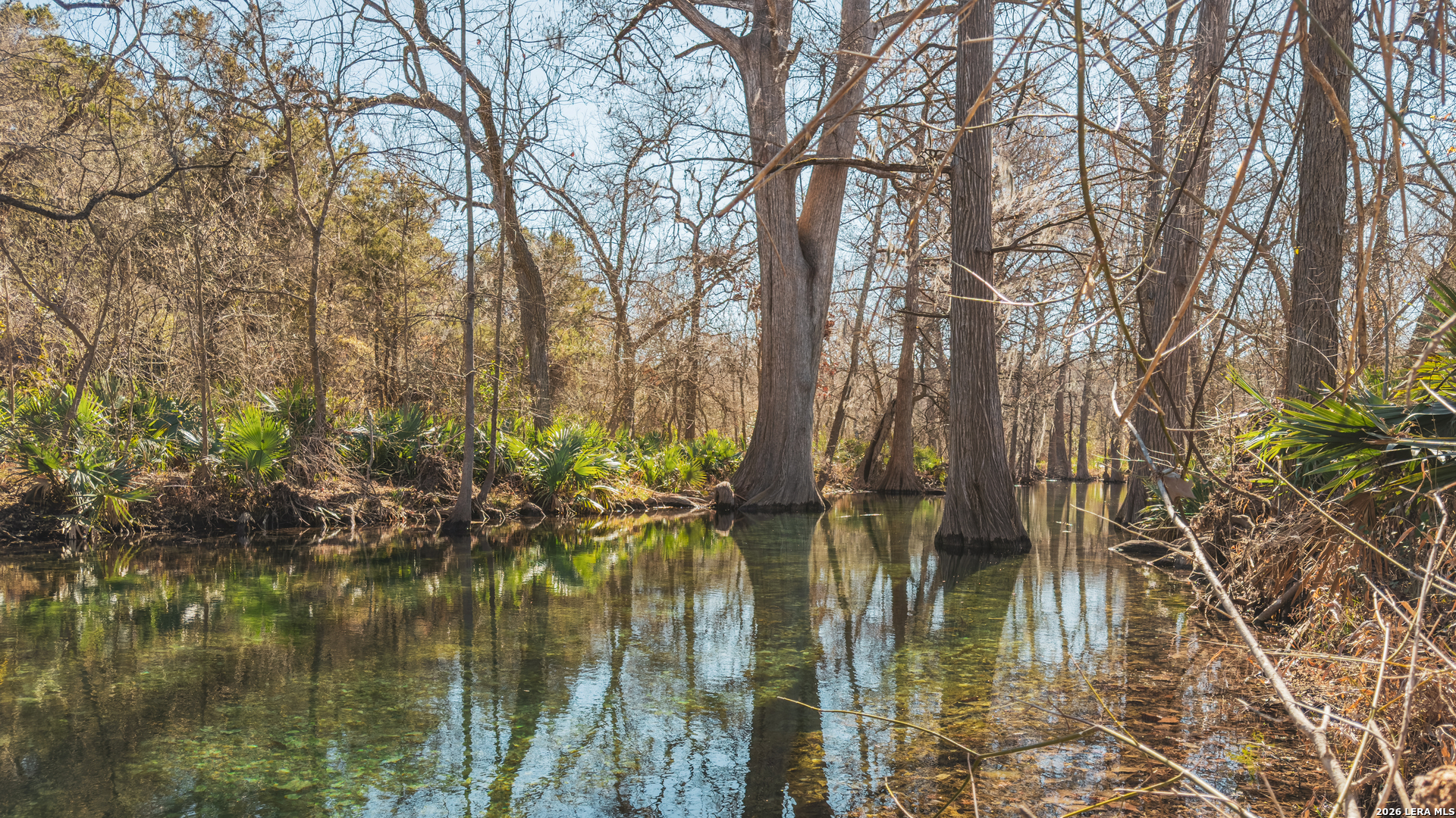 1076 Blue Bonnet Hl Drive Spring Branch, TX 78070 - Photo 15 of 44 a lake view with large trees