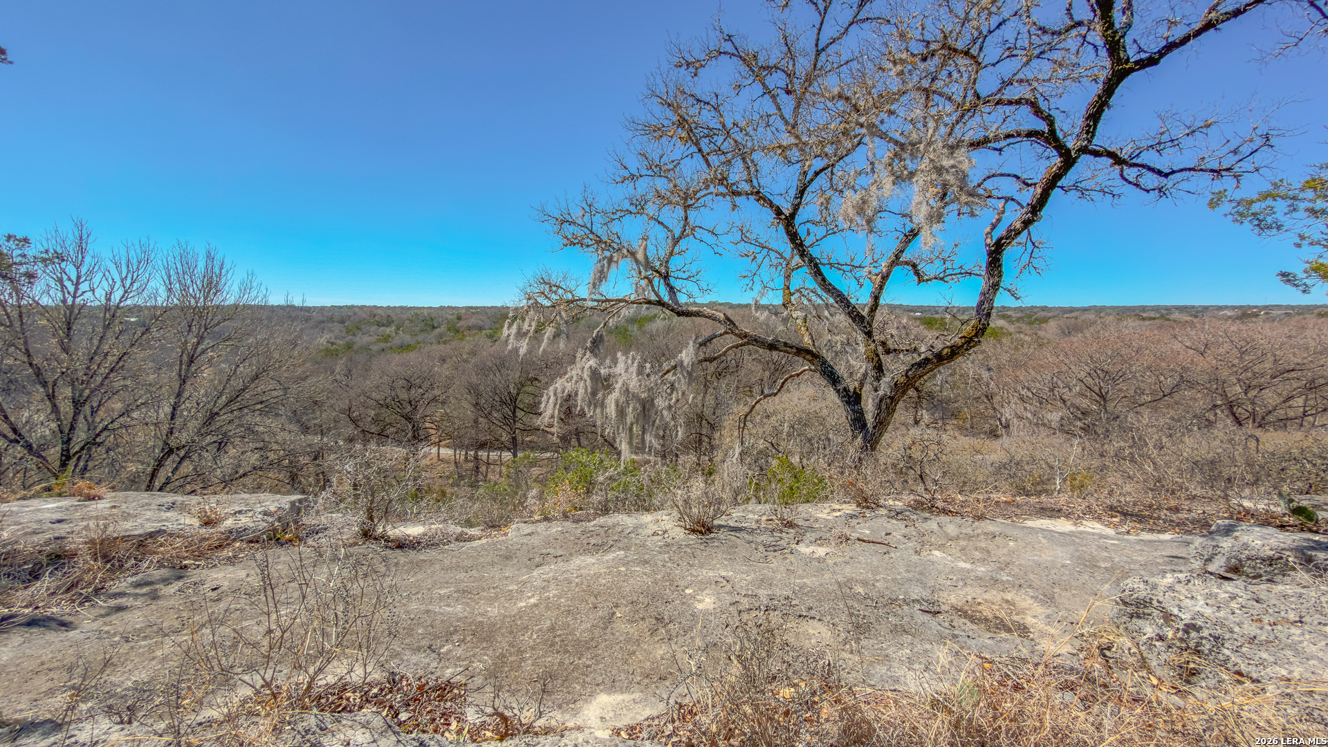 1076 Blue Bonnet Hl Drive Spring Branch, TX 78070 - Photo 7 of 44