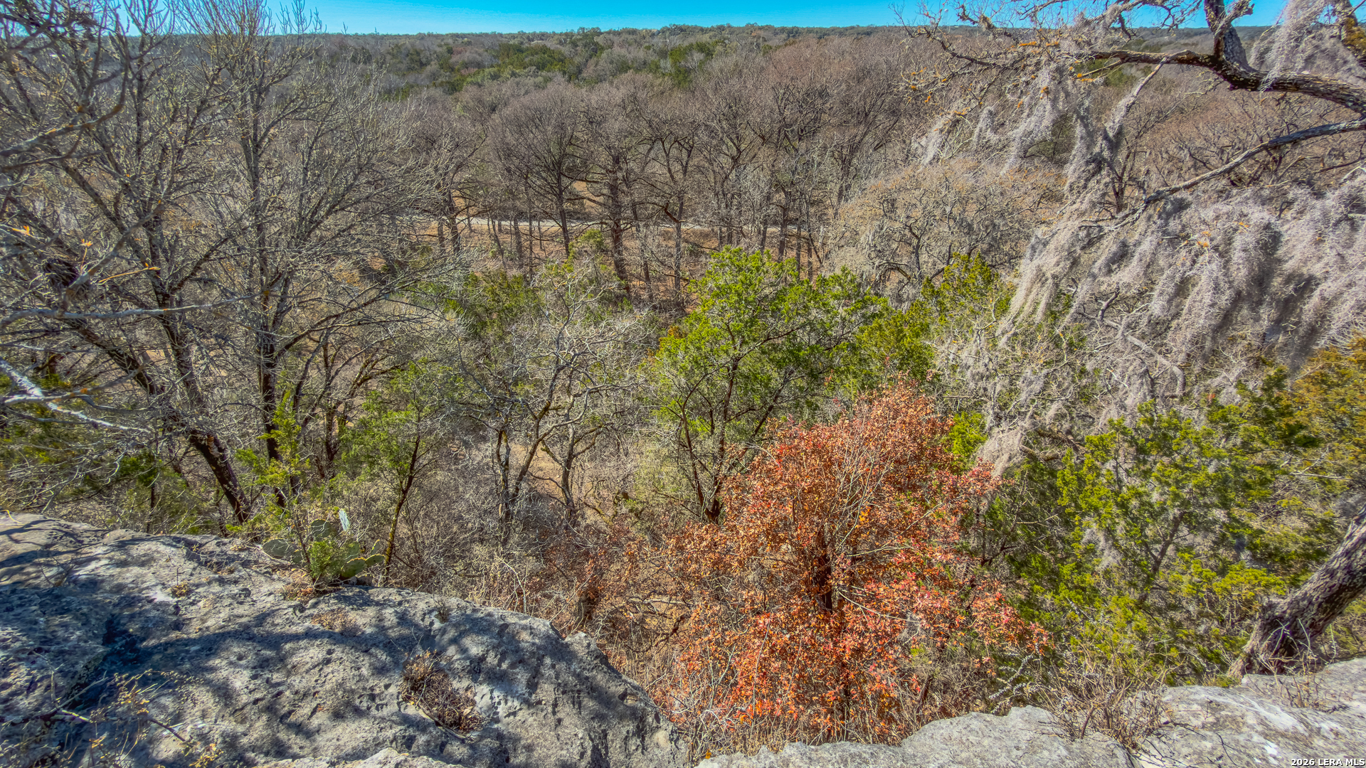 1076 Blue Bonnet Hl Drive Spring Branch, TX 78070 - Photo 9 of 44 a view of a yard with a tree