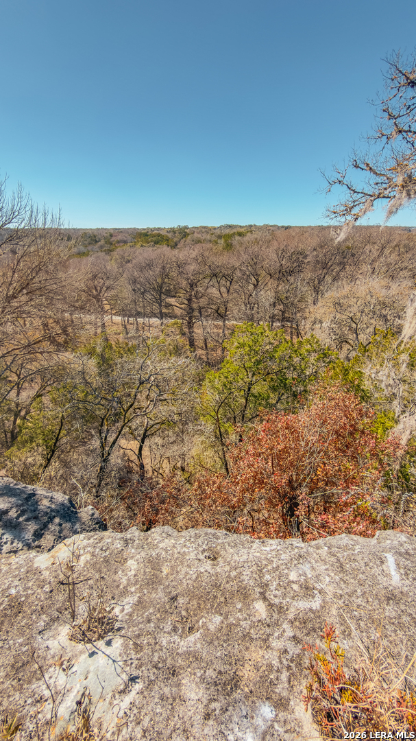 1076 Blue Bonnet Hl Drive Spring Branch, TX 78070 - Photo 10 of 44 a view of open area with green space