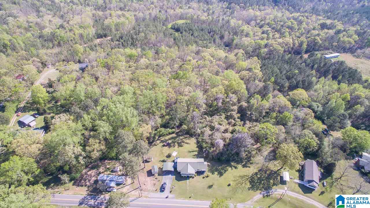 7037 Highway 10 Montevallo Al Montevallo, AL 35115 - Photo 33 of 35