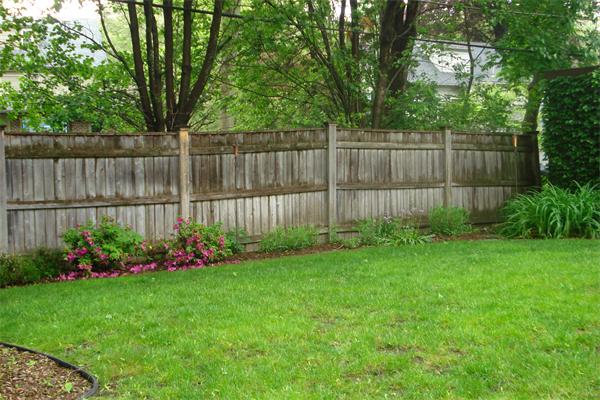 47 Arapahoe Road Newton, MA 02465 - Photo 5 of 21