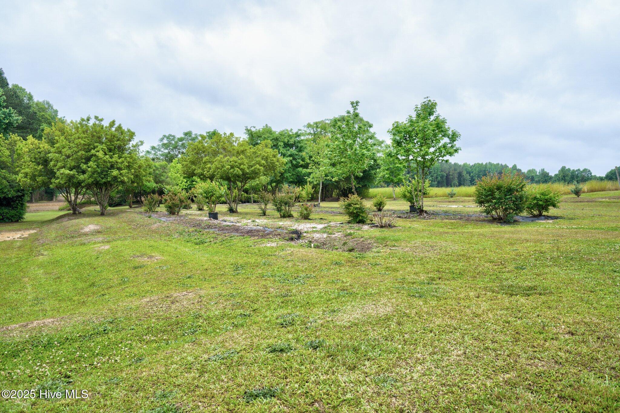 5367 East Blalock Road Wilson, NC 27893 - Photo 31 of 32 041-5367EastBlalockRoad-Wilson-NC-27893-