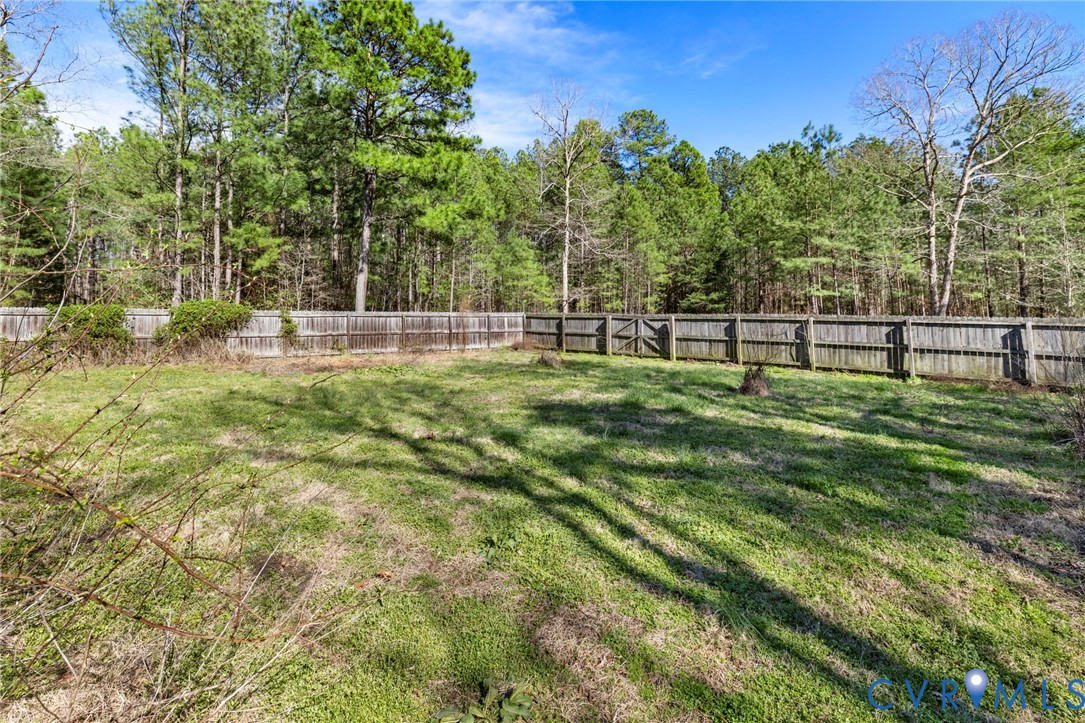 21801 Skinquarter Road Moseley, VA 23120 - Photo 28 of 30