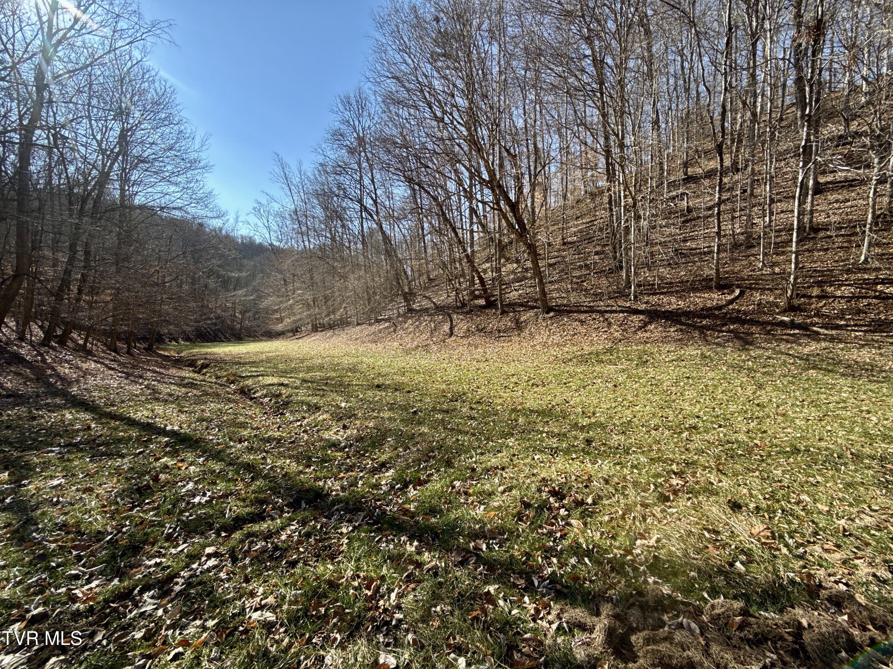 219 Ridge Road Eidson, TN 37731 - Photo 65 of 72 _Pic56 (13)