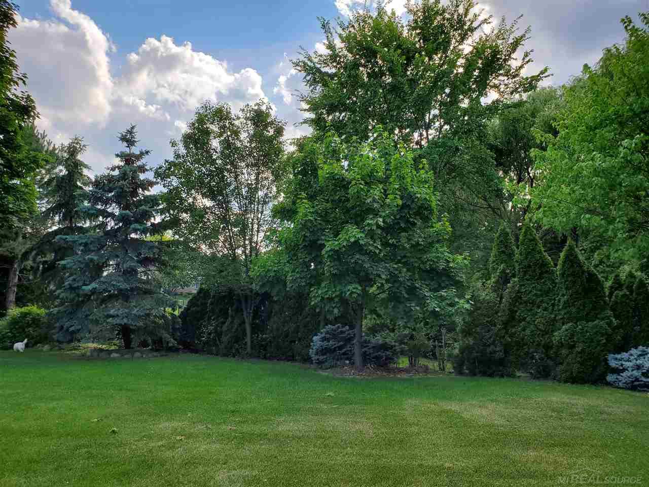 46869 West Ridge Drive Macomb, MI 48044 - Photo 9 of 48 50080942-8.JPG