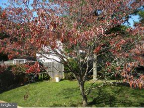 124 Leeward Road Manahawkin, NJ 08050 - Photo 23 of 24 Gallery Image 23