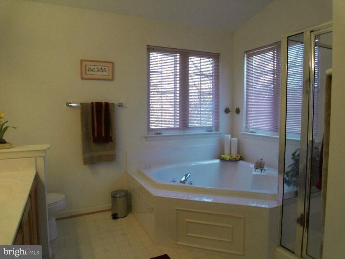 13339 Copper Ridge Road Germantown, MD 20874 - Photo 10 of 20 a bathroom with a tub sink and mirror