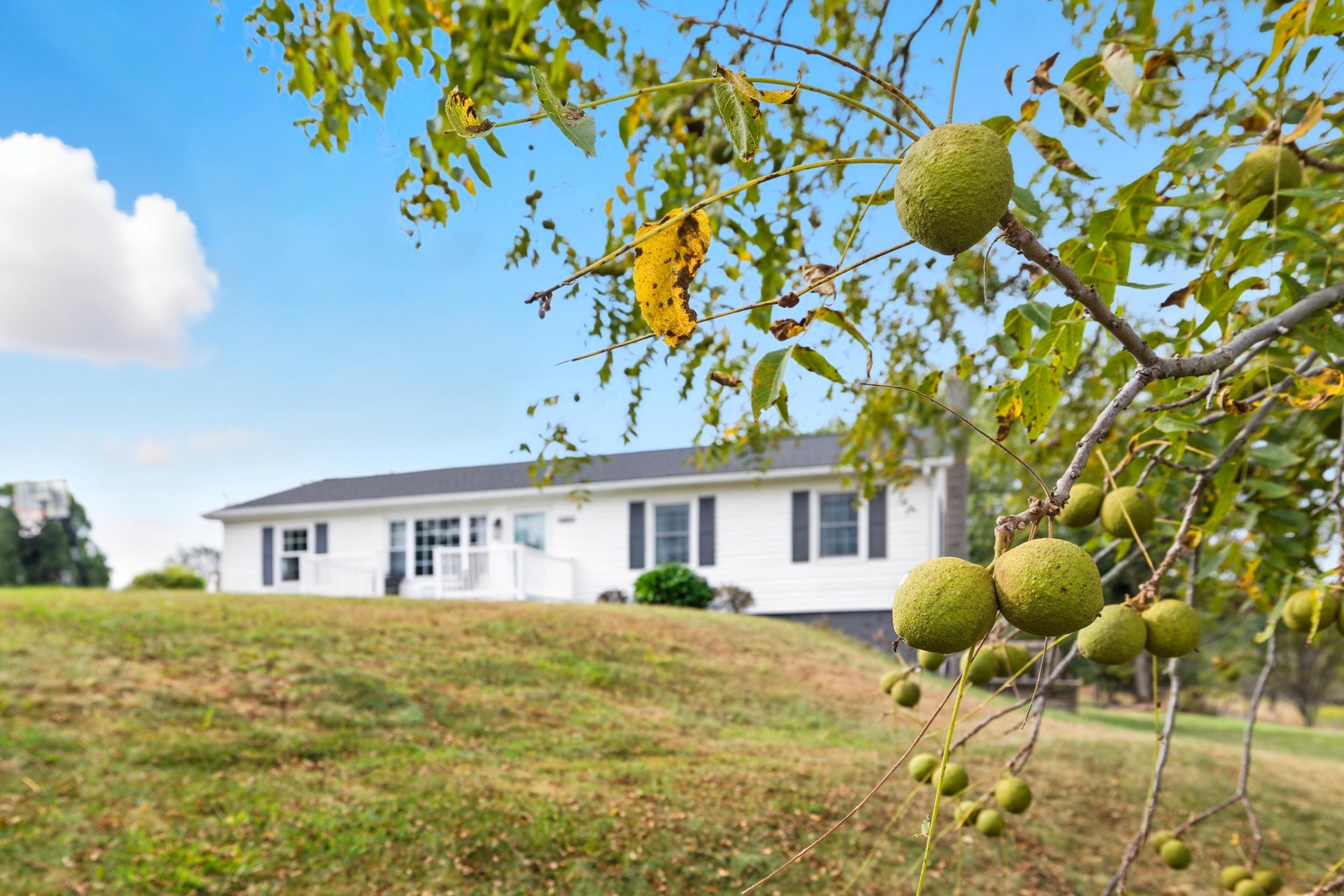 8449 Indian Trail Road Harrisonburg, VA 22802 - Photo 49 of 75