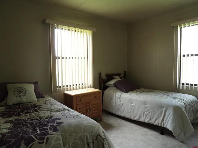 a view of a backyard with a large tree