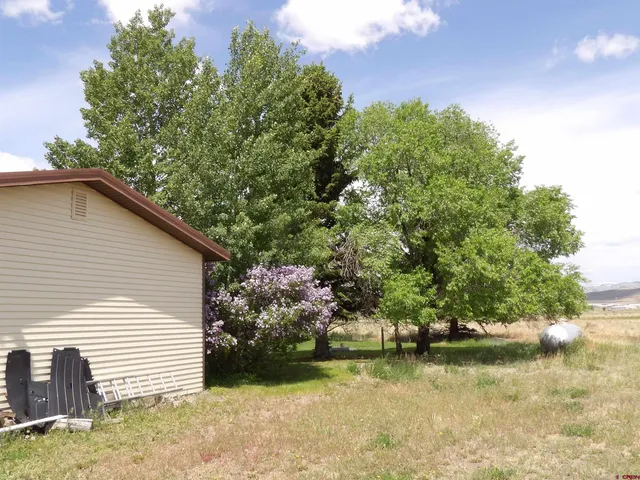 a view of a backyard with plants and lake view