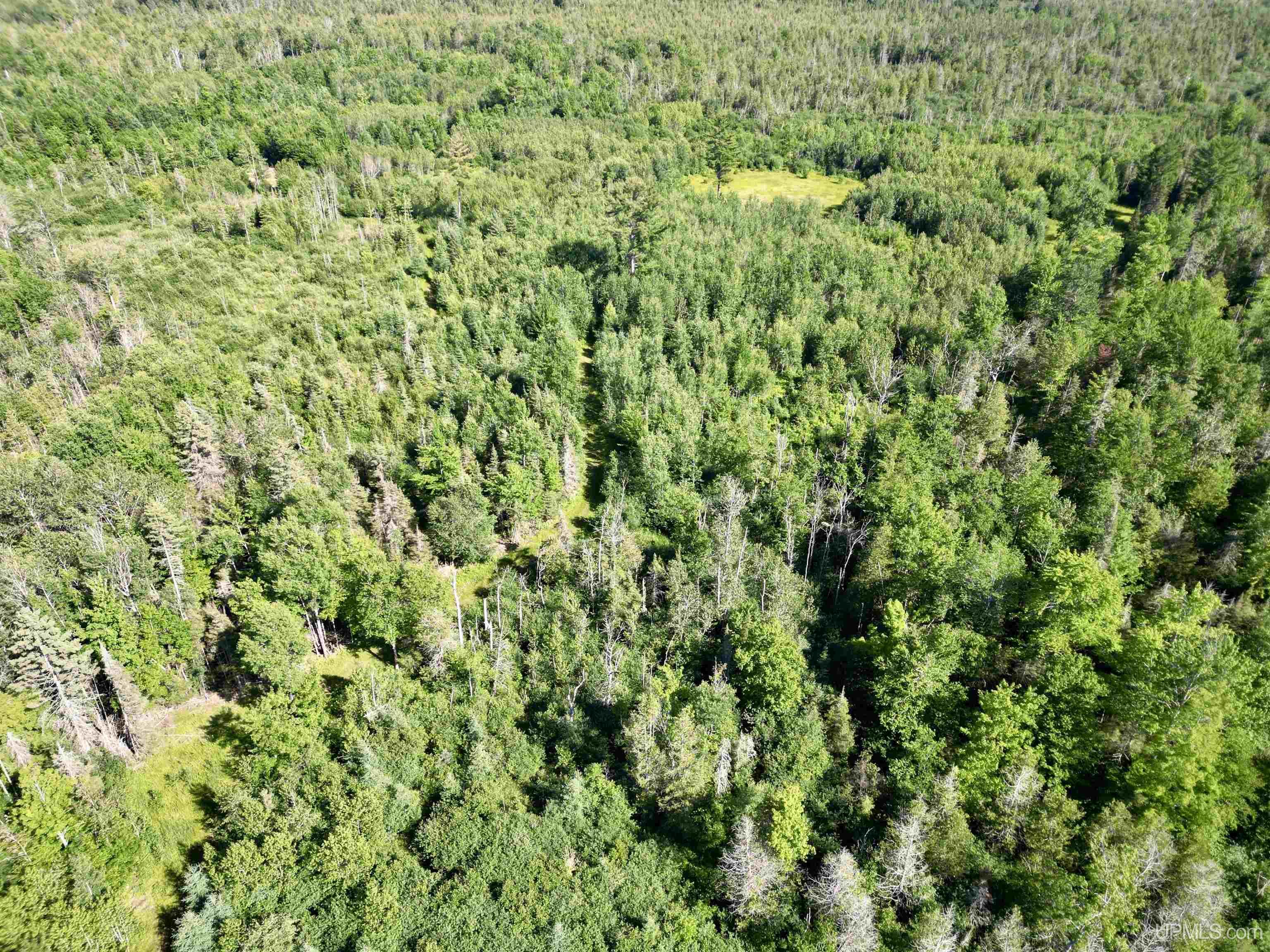 8357 School 16 Road Rapid River, MI 49878 - Photo 39 of 47