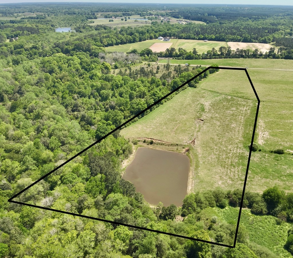 12.37-acres Huskey Road Dothan, AL 36303 - Photo 14 of 16