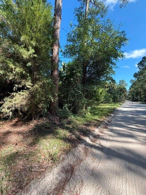 75 County Road Bunnell, FL 32110 - Photo 7 of 10 a view of a yard with plants and a tree