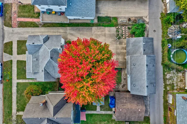 an aerial view of a house with swimming pool and large trees