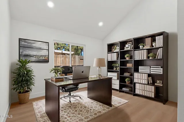 a living room with furniture a bookshelf and a potted plant