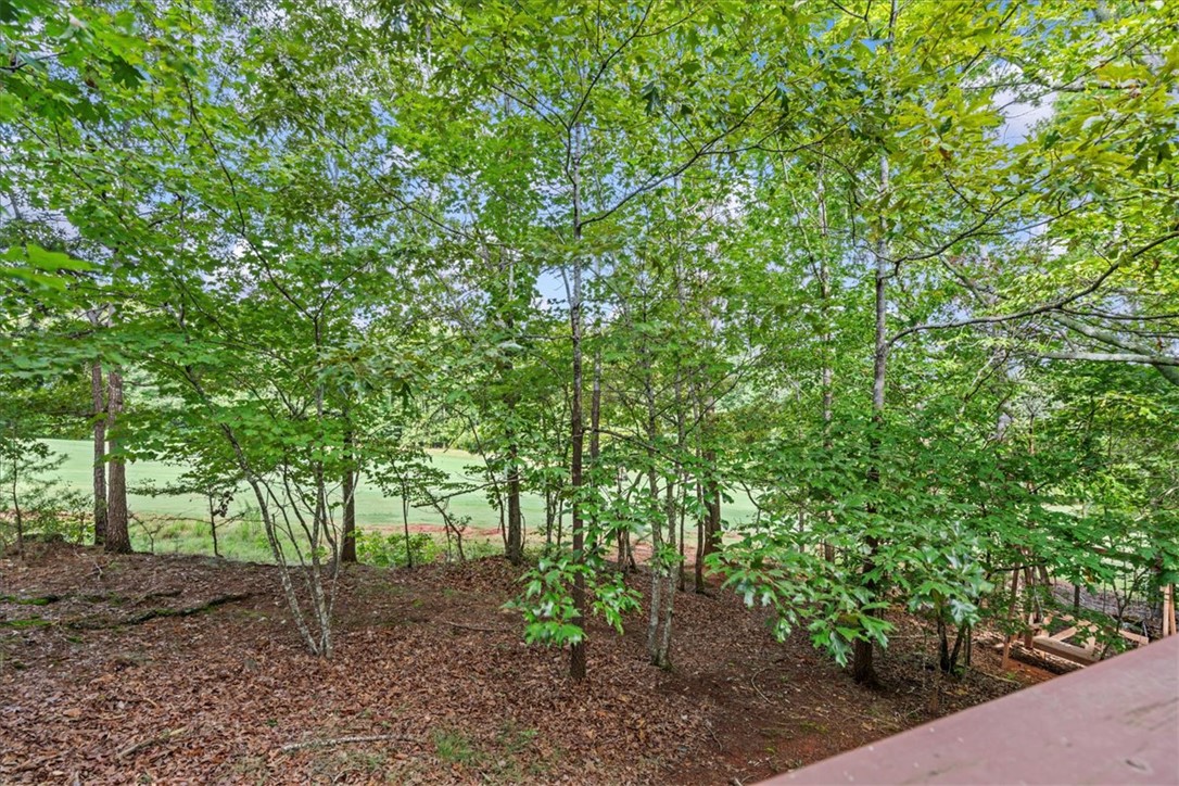 113 Nicklaus Road Westminster, SC 29693 - Photo 5 of 38 Gallery Image 5
