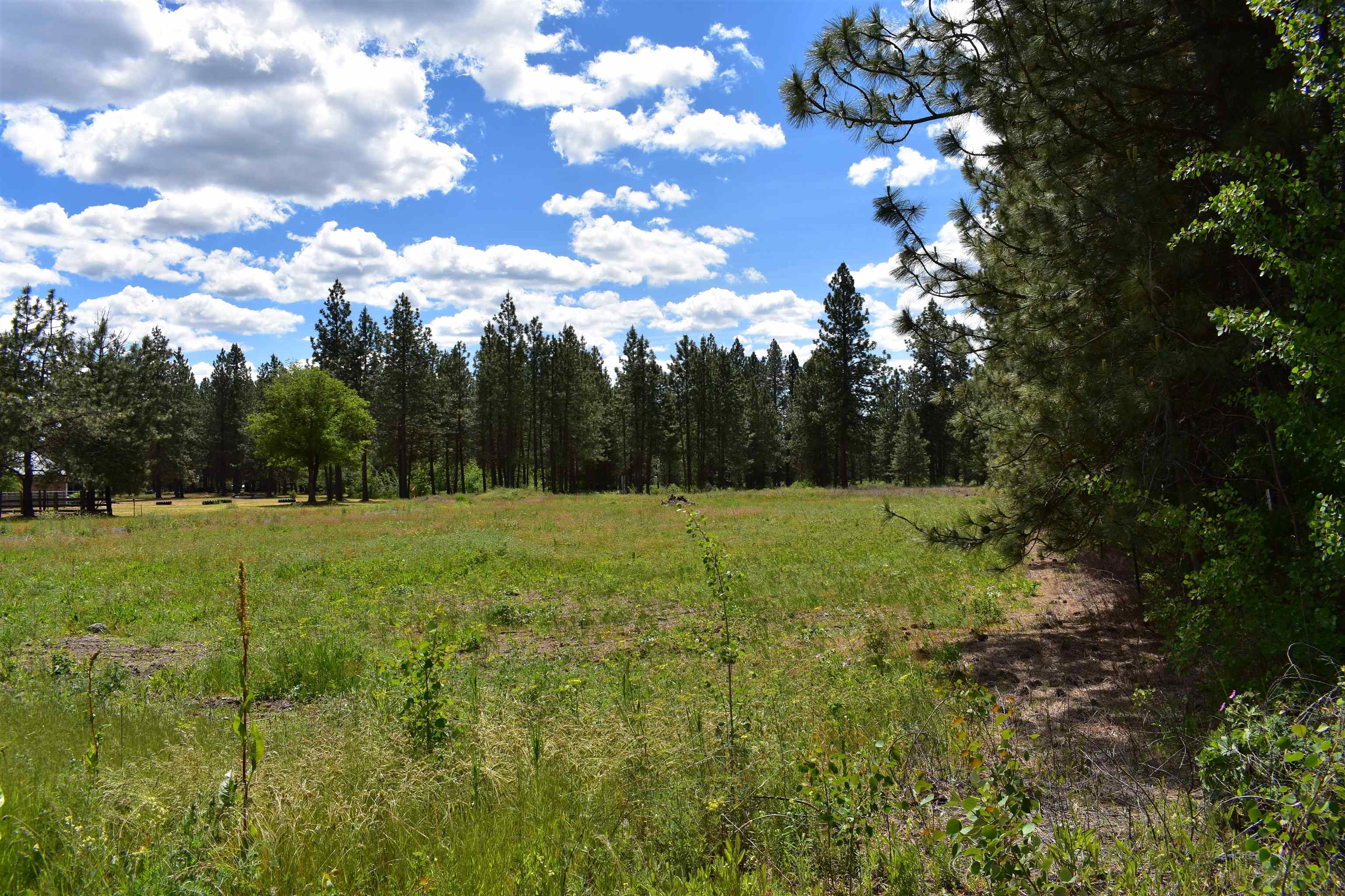 Xxxx West White Road Cheney, WA 99004 - Photo 1 of 10