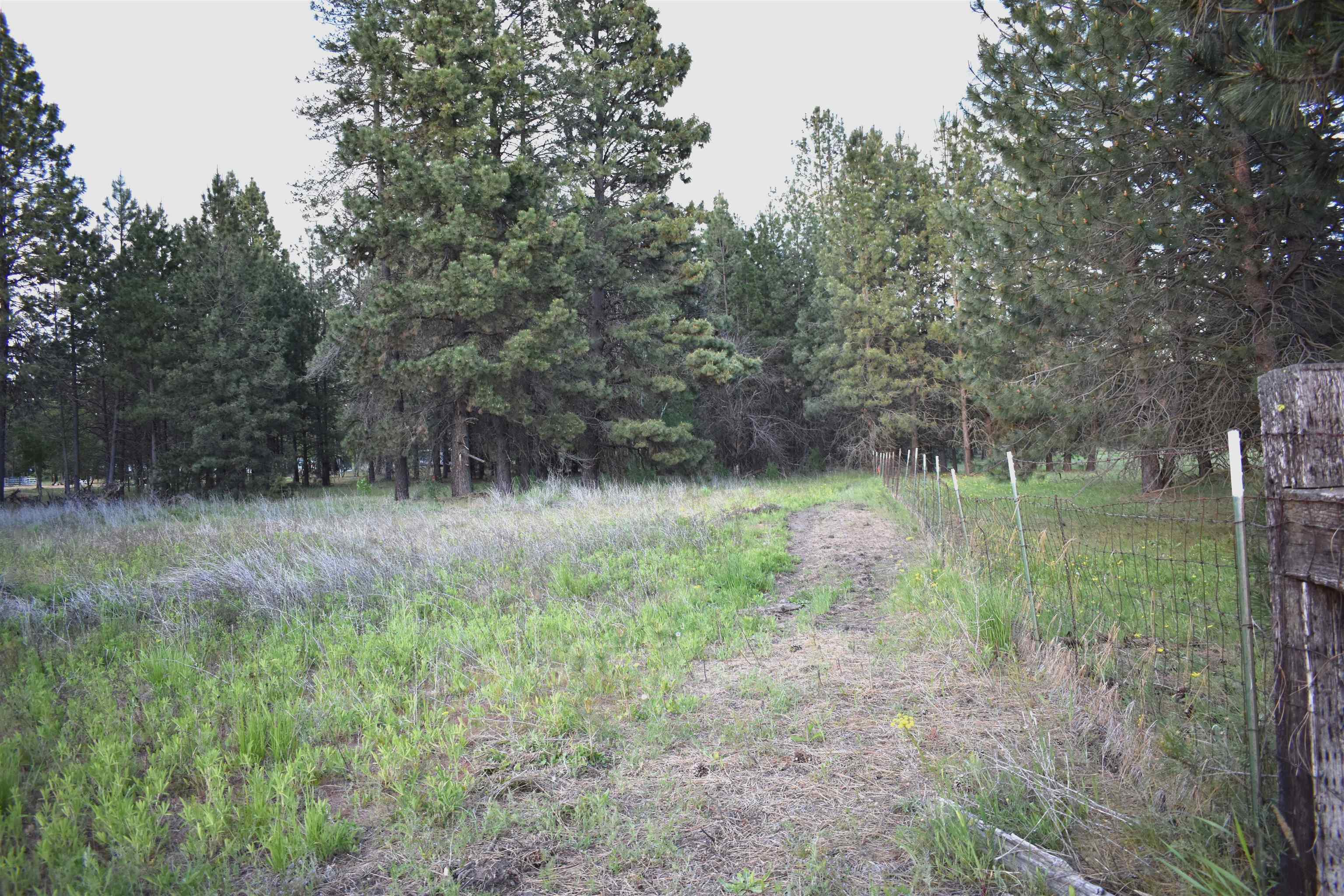 Xxxx West White Road Cheney, WA 99004 - Photo 3 of 10