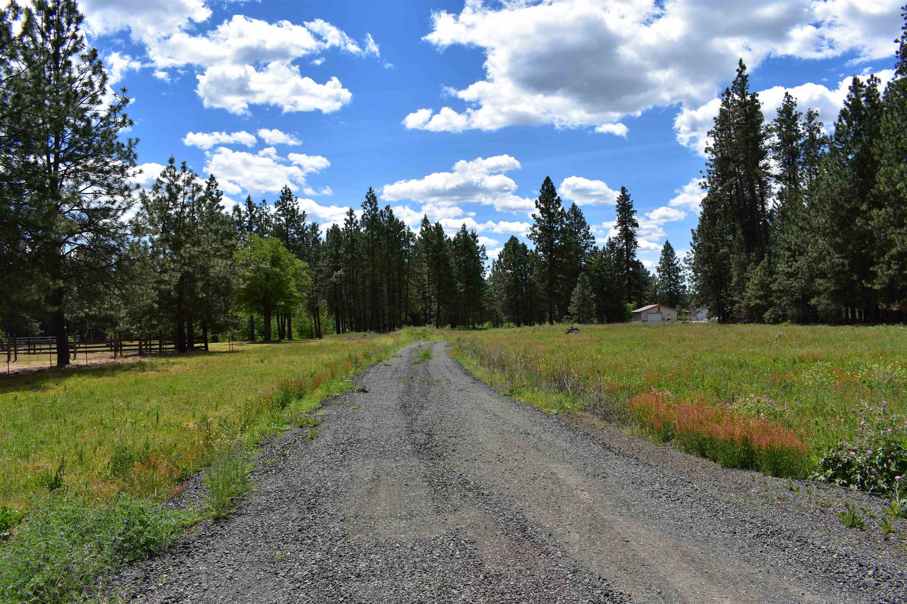 Xxxx West White Road Cheney, WA 99004 - Photo 5 of 10