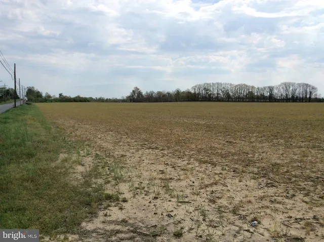 a view of an ocean beach