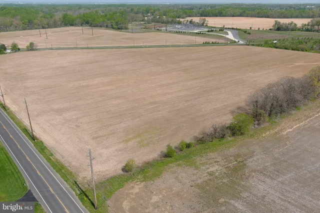 a terrace with trees