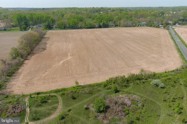 a view of a field with large trees