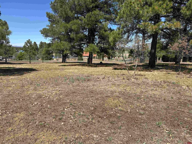 $299,900 | 1259 Lakeside Drive, Pagosa Springs, CO 81147