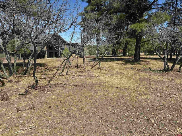 $299,900 | 1259 Lakeside Drive, Pagosa Springs, CO 81147