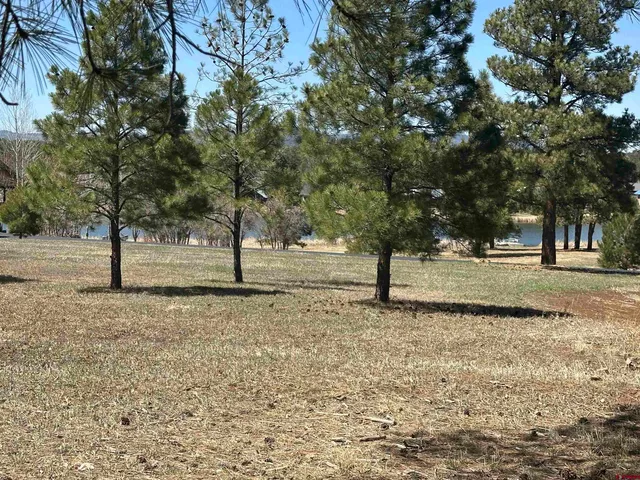 $299,900 | 1259 Lakeside Drive, Pagosa Springs, CO 81147