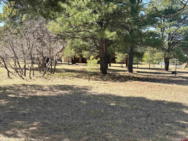 $299,900 | 1259 Lakeside Drive, Pagosa Springs, CO 81147