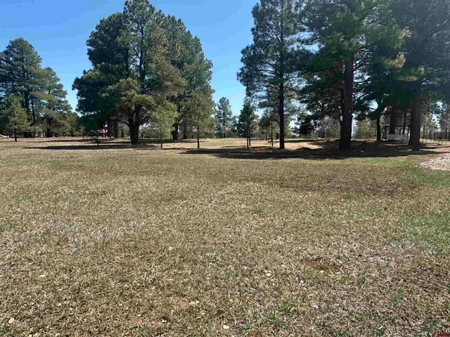 $299,900 | 1259 Lakeside Drive, Pagosa Springs, CO 81147