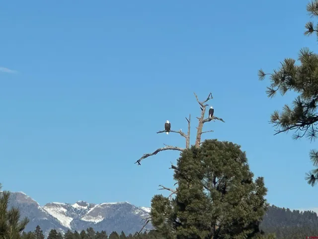 $299,900 | 1259 Lakeside Drive, Pagosa Springs, CO 81147