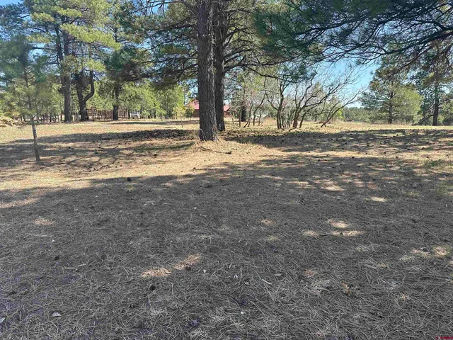 $299,900 | 1259 Lakeside Drive, Pagosa Springs, CO 81147