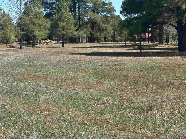 $299,900 | 1259 Lakeside Drive, Pagosa Springs, CO 81147