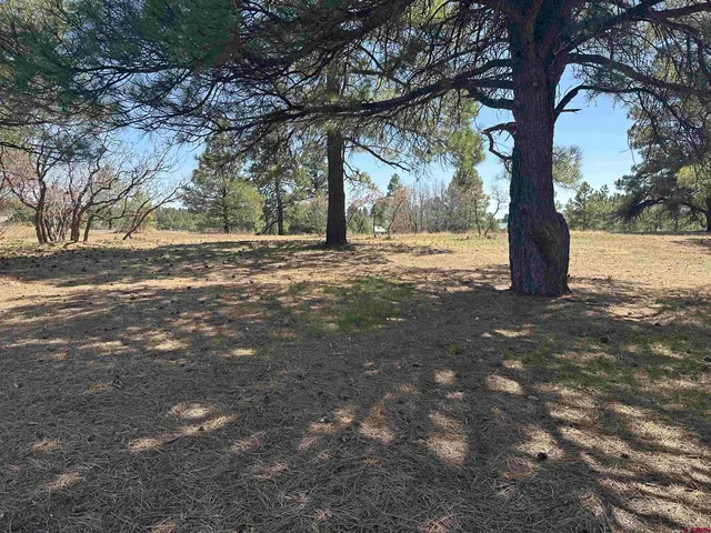 $299,900 | 1259 Lakeside Drive, Pagosa Springs, CO 81147