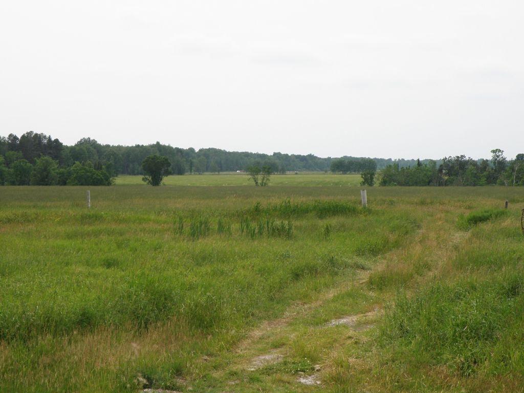 12248 South Bound Road Dafter, MI 49724 - Photo 24 of 61 Gallery Image 24
