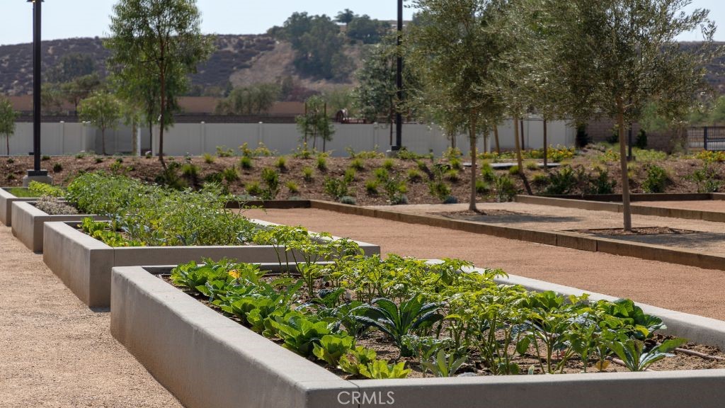 32084 Hyacinth Way Temecula, CA 92591 - Photo 20 of 21 a view of a garden with a pathway