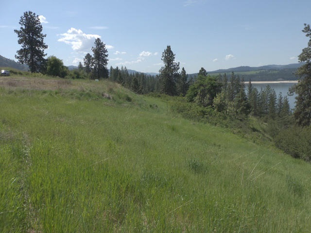 3356 Vista Ridge Way, Unit LOT 10 Rice, WA 99167 - Photo 5 of 10