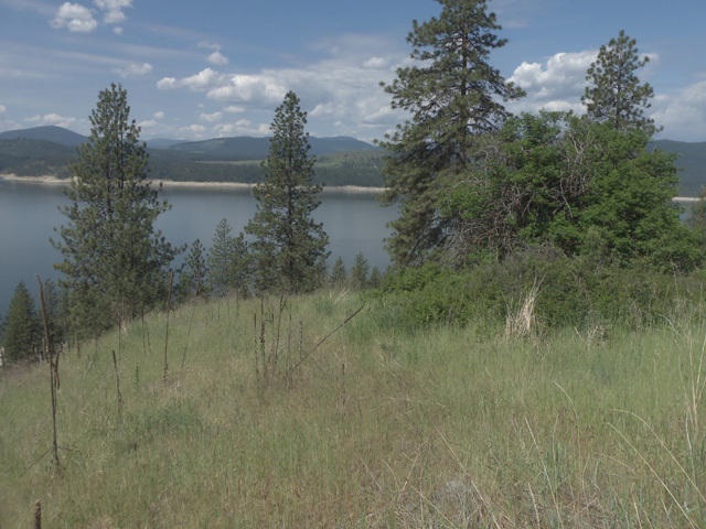 3356 Vista Ridge Way, Unit LOT 10 Rice, WA 99167 - Photo 6 of 10