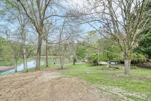 a view of a park with large trees