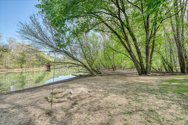 a view of backyard with large trees