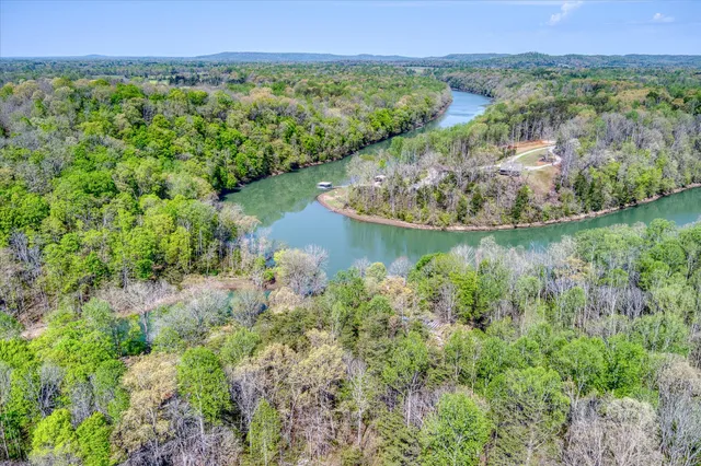a view of a lush green forest with trees and houses
